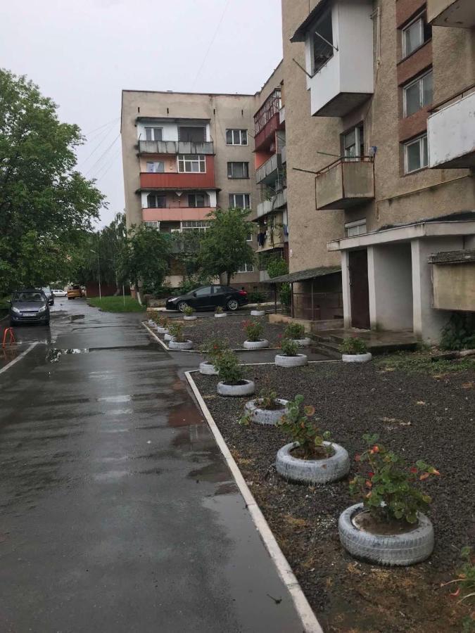 однокімнатна дизайнерська поруч з термальними водами